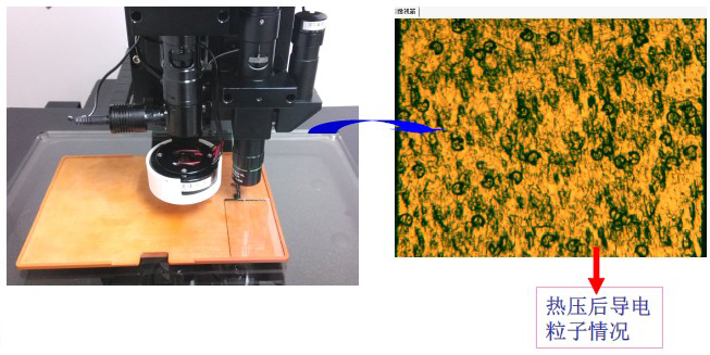 ITO、導電粒子檢視案例